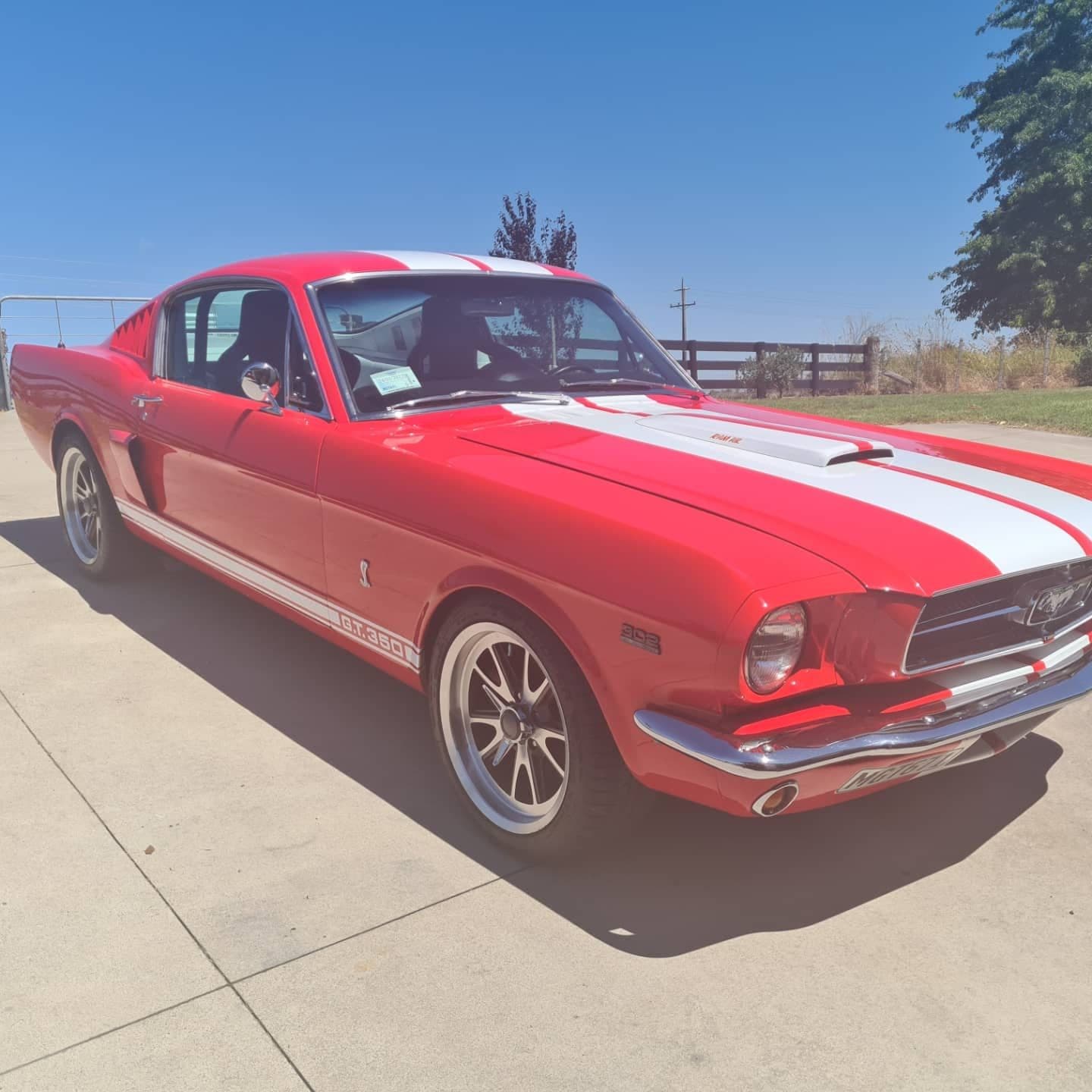 1965 Ford Mustang Gt 350 GT 350